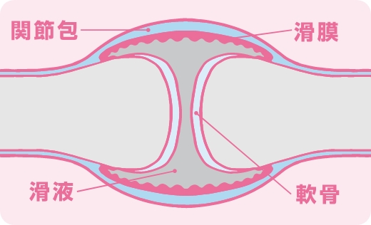 正常な関節