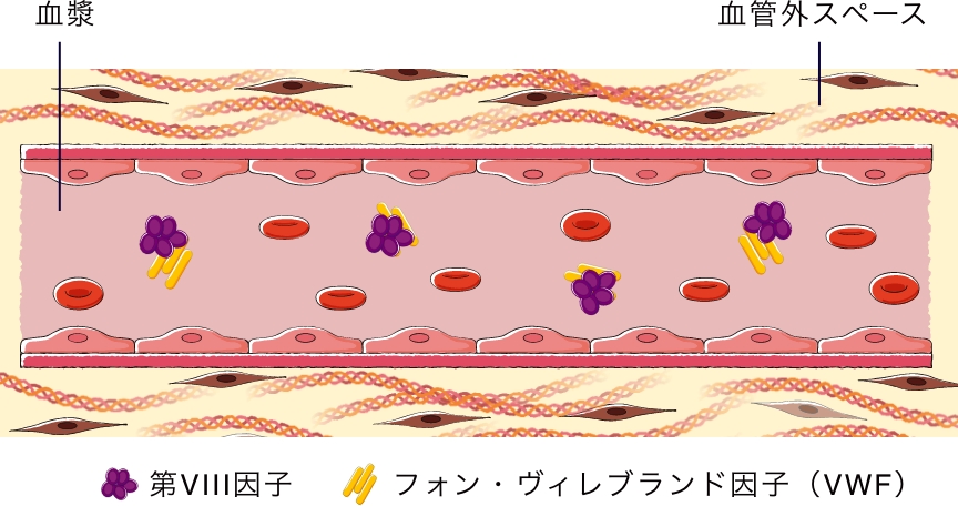 保因者であることを知っているか