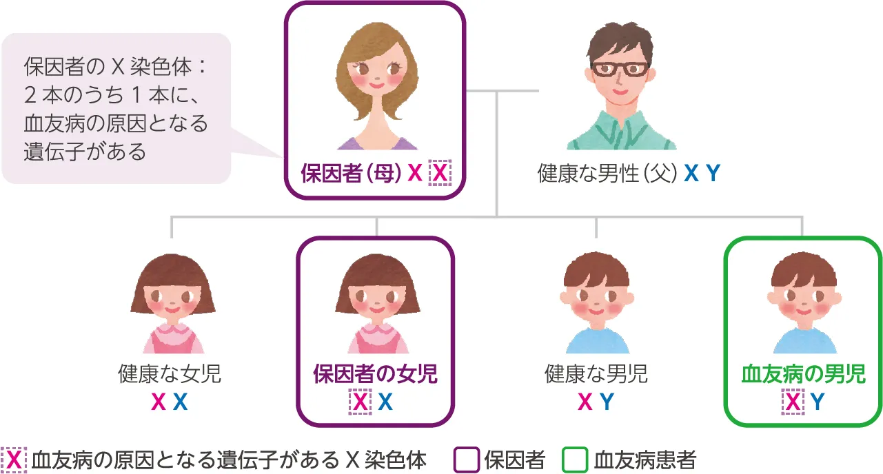 血友病の保因者